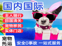 郑州新郑国际宠物托运 【国